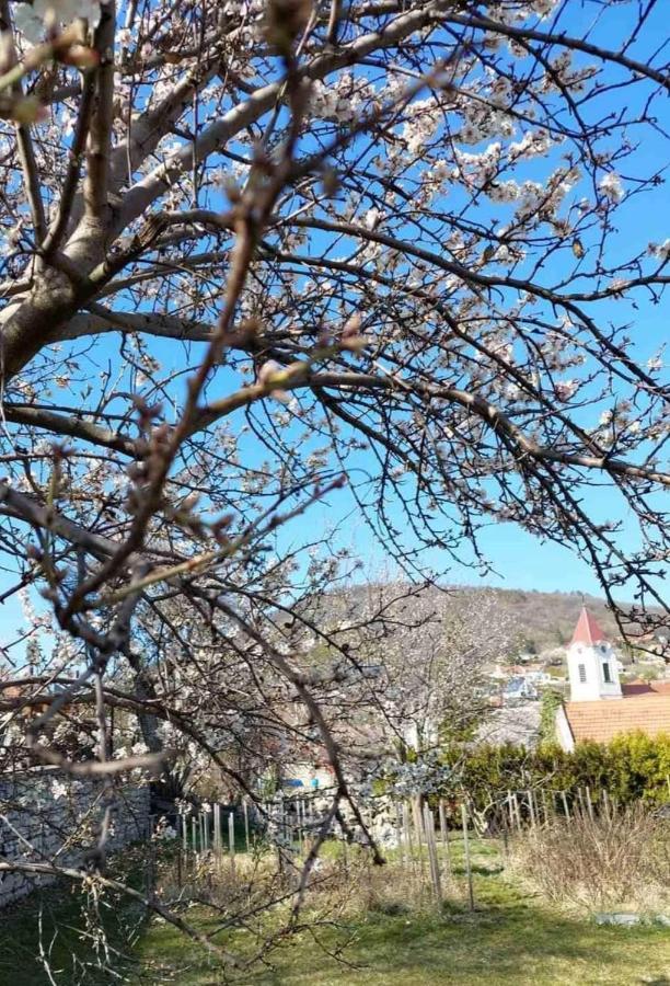 Aracsi Vendeghaz Ξενοδοχείο Balatonfüred Εξωτερικό φωτογραφία