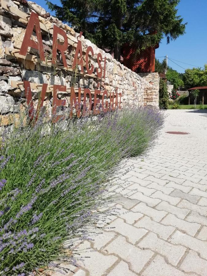 Aracsi Vendeghaz Ξενοδοχείο Balatonfüred Εξωτερικό φωτογραφία