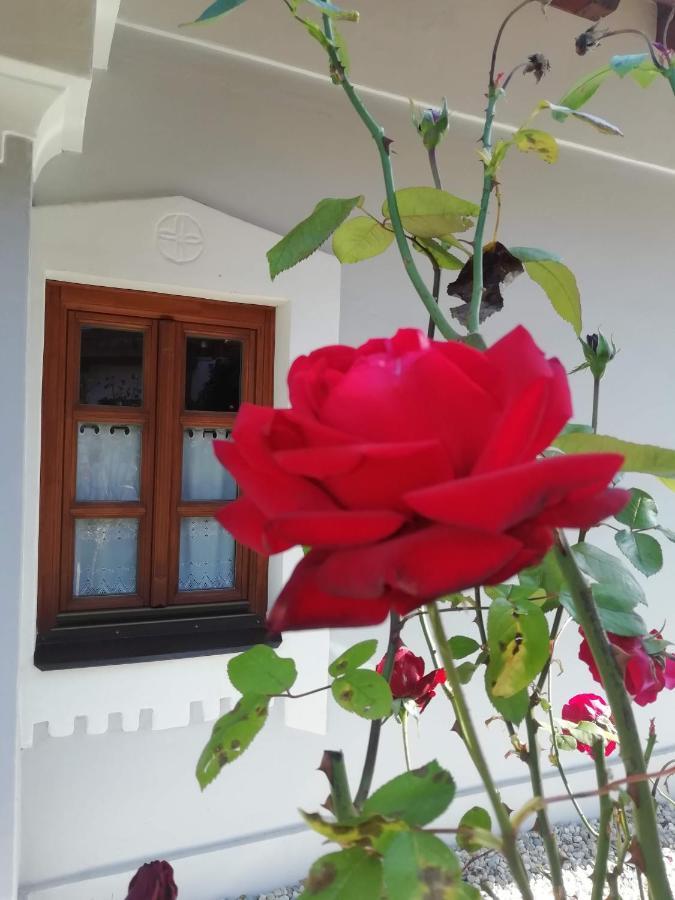 Aracsi Vendeghaz Ξενοδοχείο Balatonfüred Εξωτερικό φωτογραφία